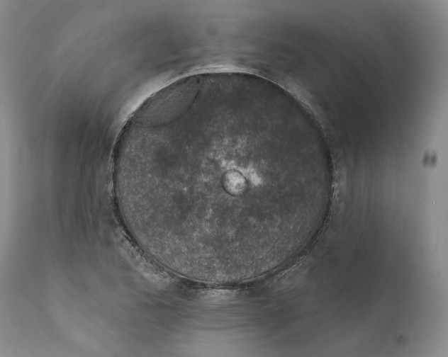 X0000112381173200909101338