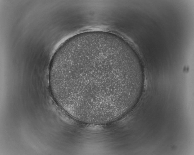 X0000112381174200909101338