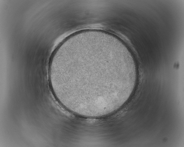 X0000112381176200909101338