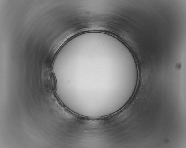 X0000112381177200909101338