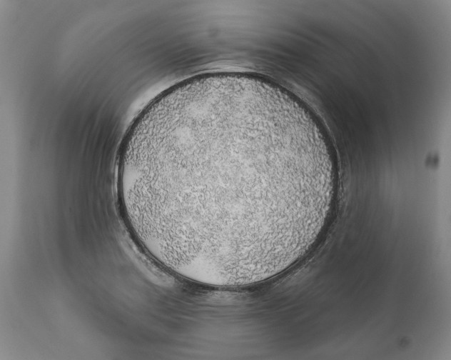 X0000112381179200909101338