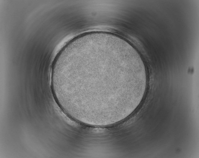 X0000112381180200909101338