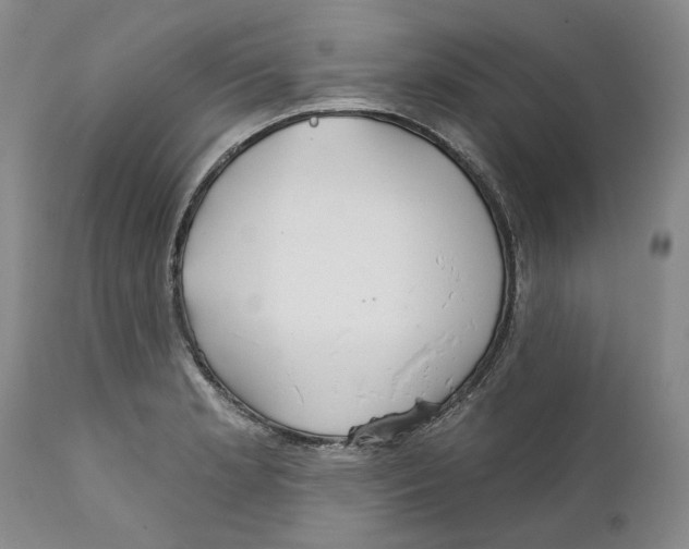 X0000112381181200909101338