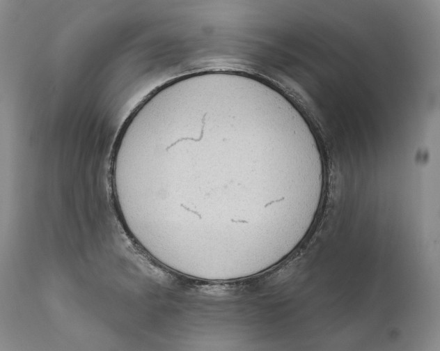 X0000112381182200909101338