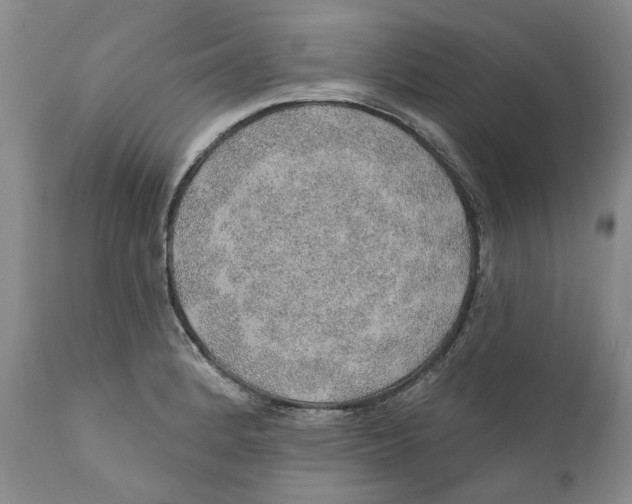 X0000112381184200909101338