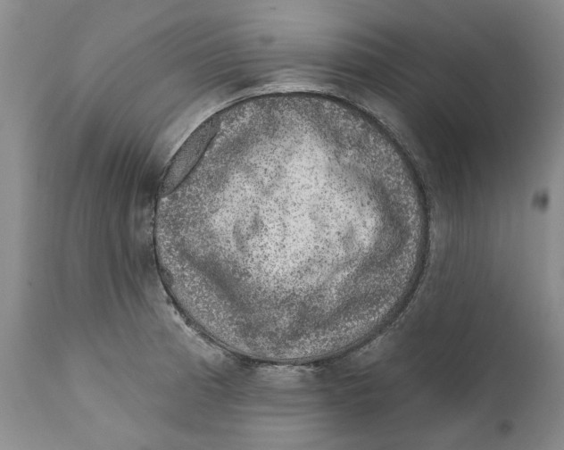 X0000112381185200909101338