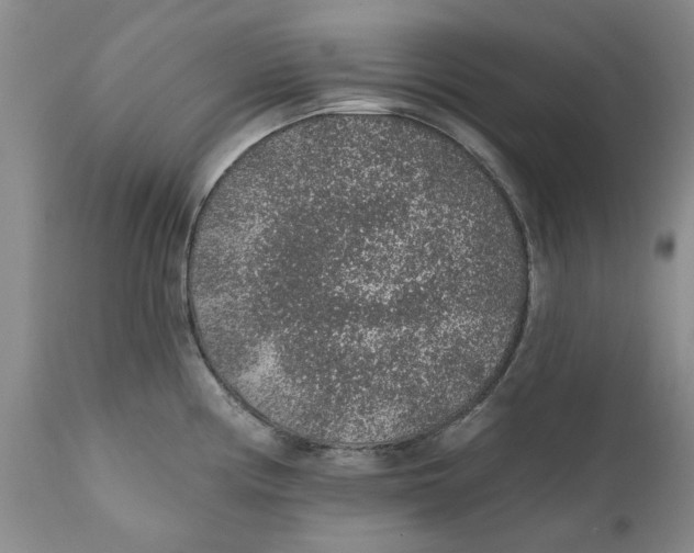 X0000112381194200909101338