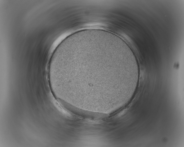 X0000112381196200909101338