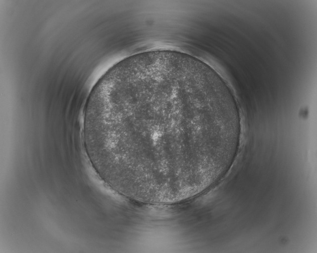 X0000112381198200909101338