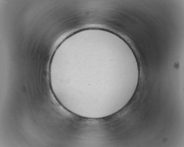 X0000112381199200909101338