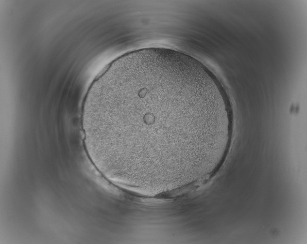 X0000112381200200909101338