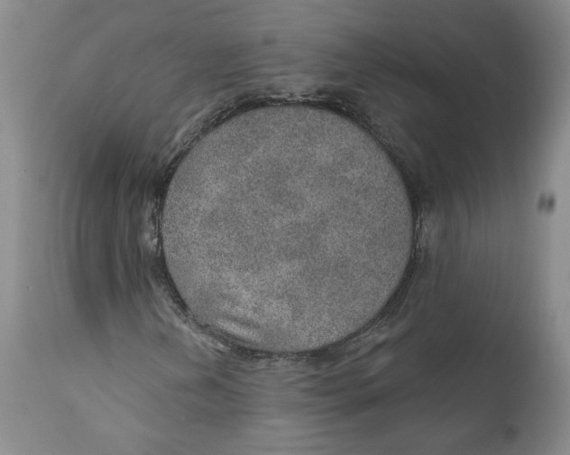 X0000112381202200909101337