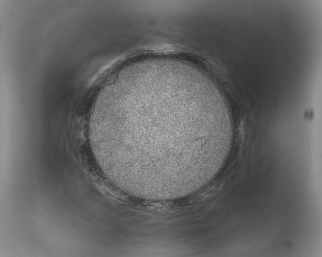 X0000112381205200909101338