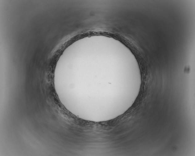 X0000112381207200909101338