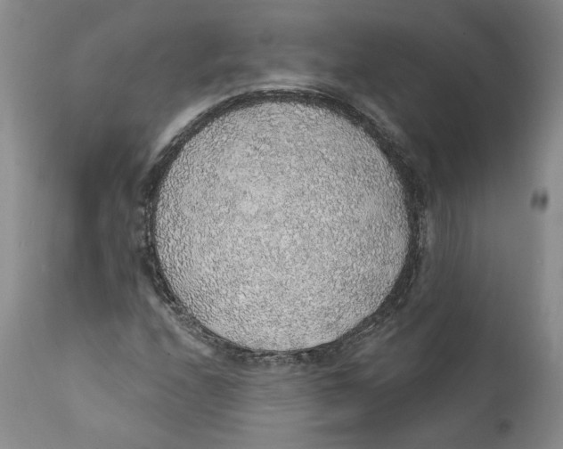 X0000112381208200909101338