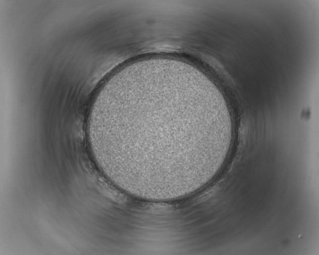 X0000112381209200909101338