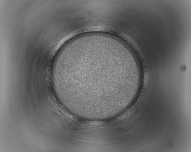 X0000112381210200909101338