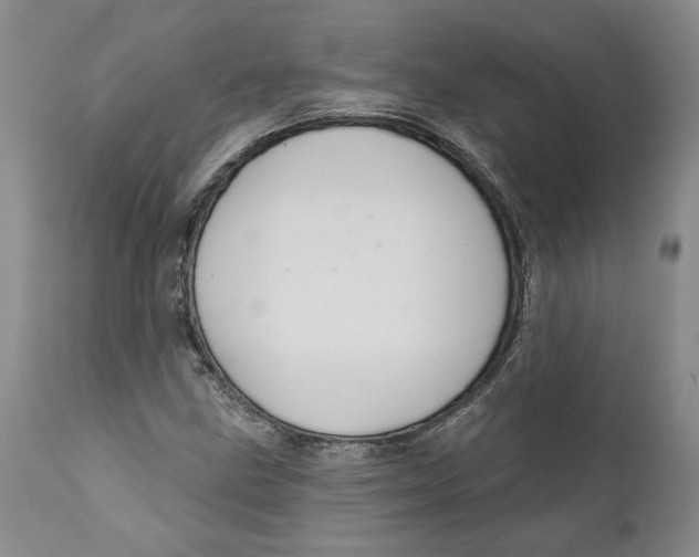 X0000112381211200909101338