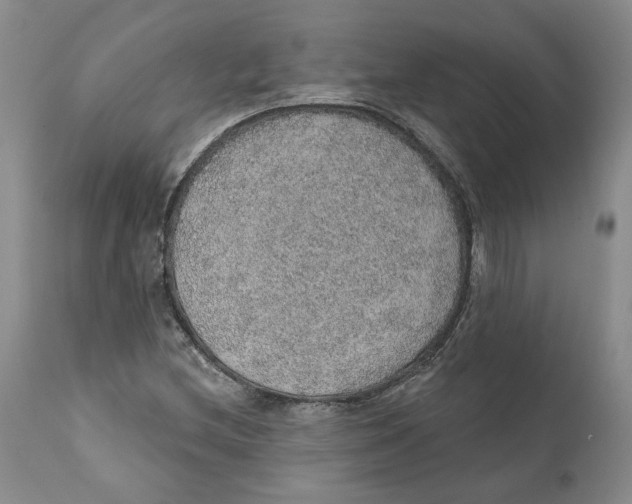 X0000112381212200909101338