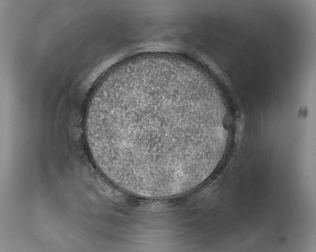 X0000112381213200909101338