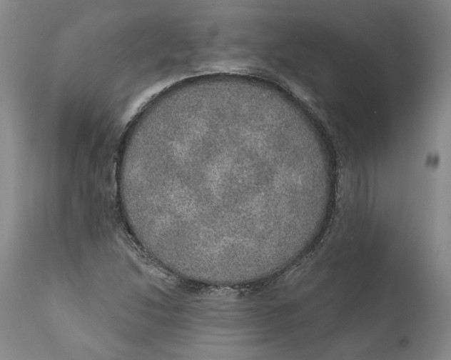 X0000112381214200909101338