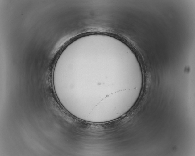 X0000112381215200909101338