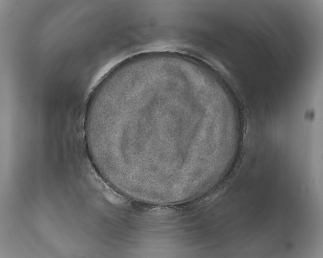 X0000112381216200909101338