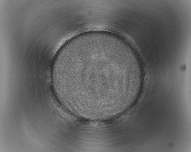 X0000112381218200909101338