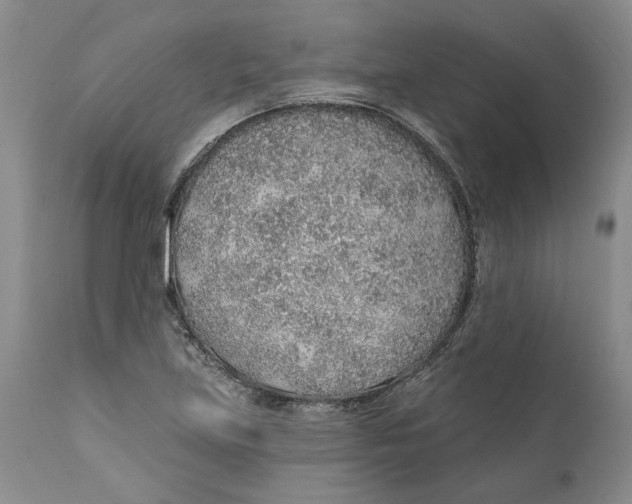 X0000112381219200909101338