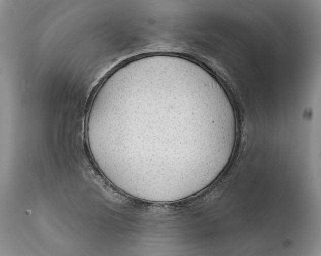 X0000112381220200909101338