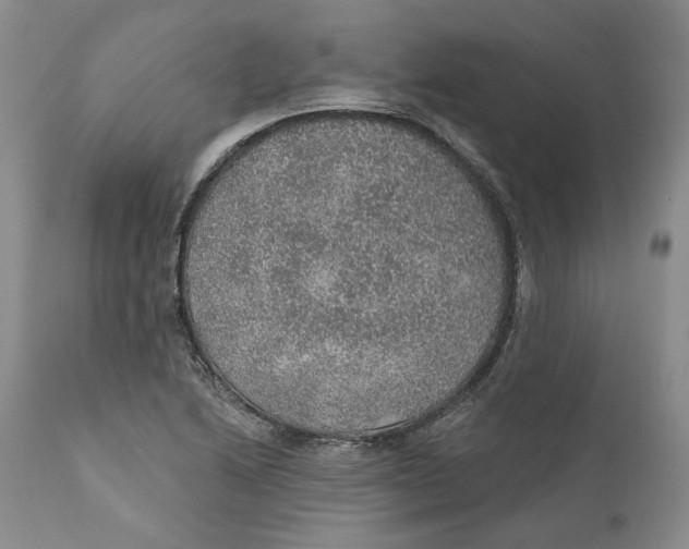 X0000112381222200909101338