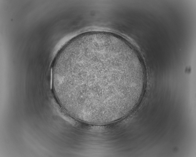 X0000112381223200909101338