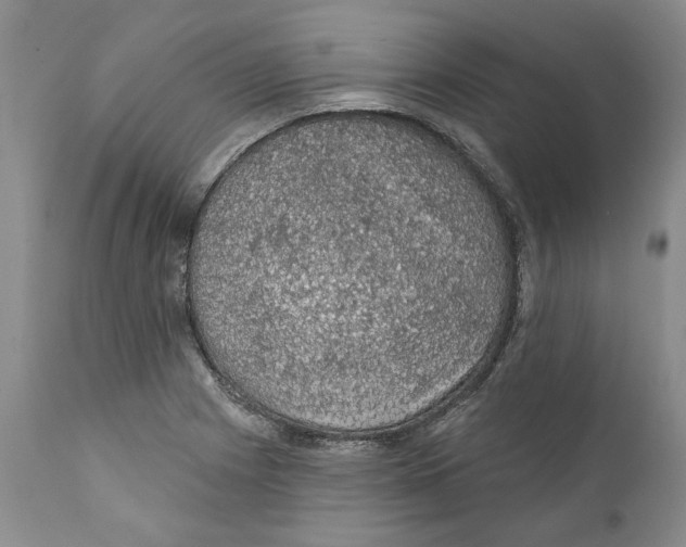 X0000112381225200909101338