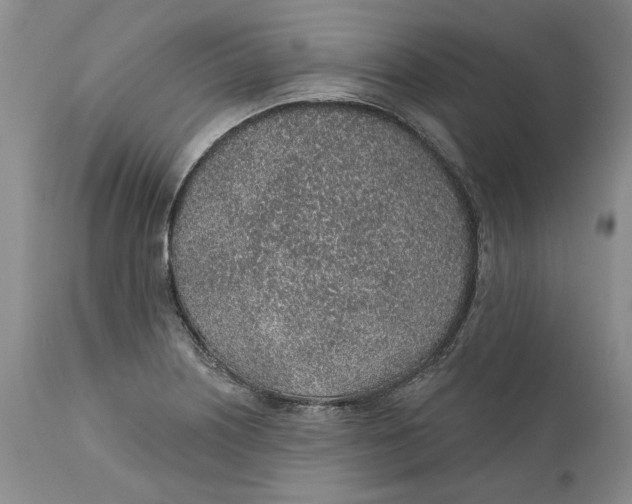 X0000112381226200909101338