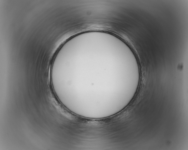 X0000112381227200909101338