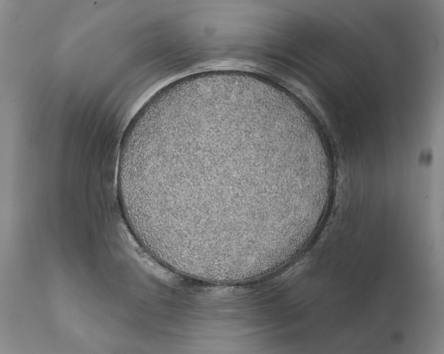 X0000112381228200909101338