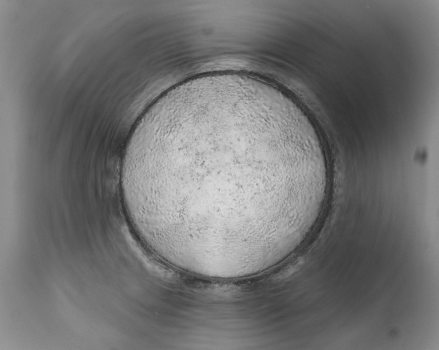 X0000112381233200909101338