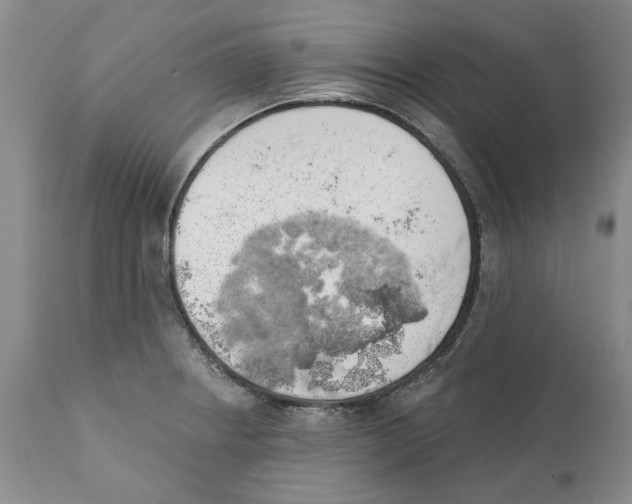 X0000112381234200909101338