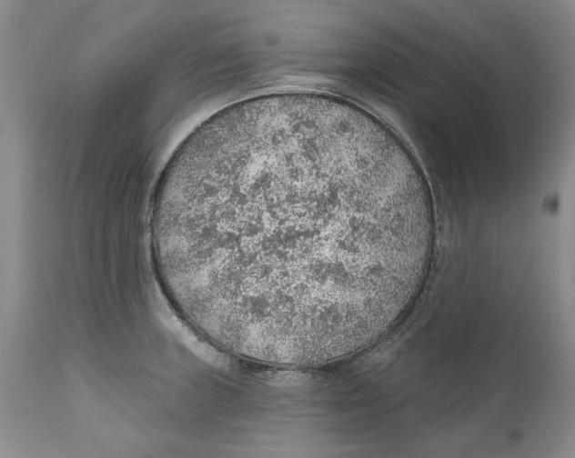 X0000112381235200909101338