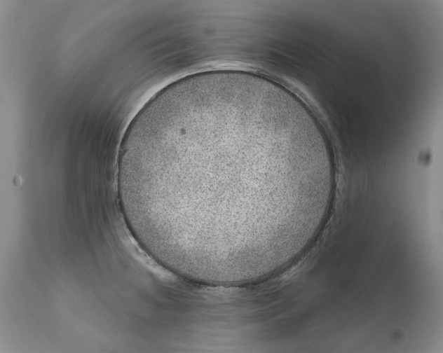 X0000112381236200909101338