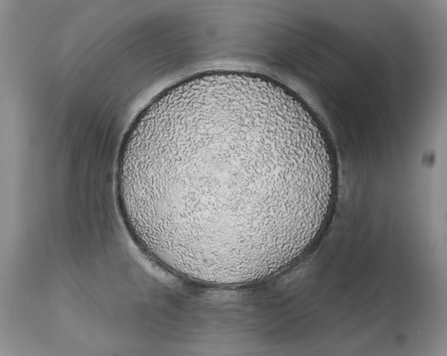 X0000112381237200909101338