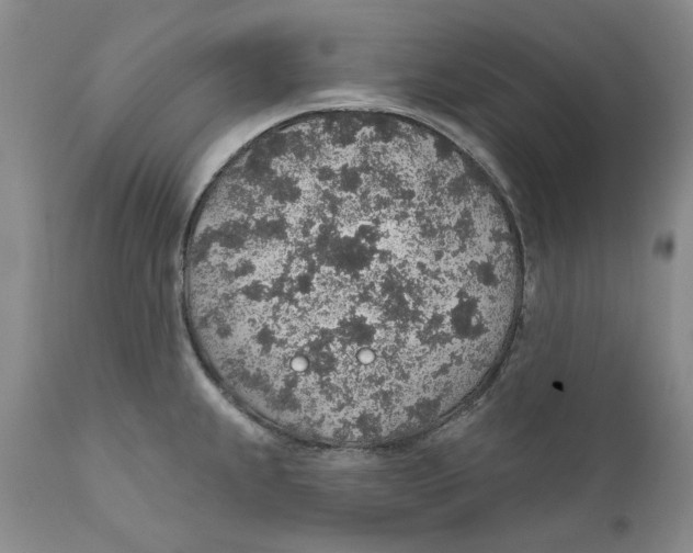 X0000112381239200909101338