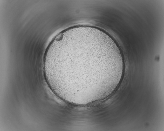 X0000112381240200909101338