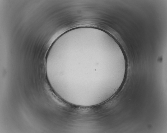 X0000112381242200909101338