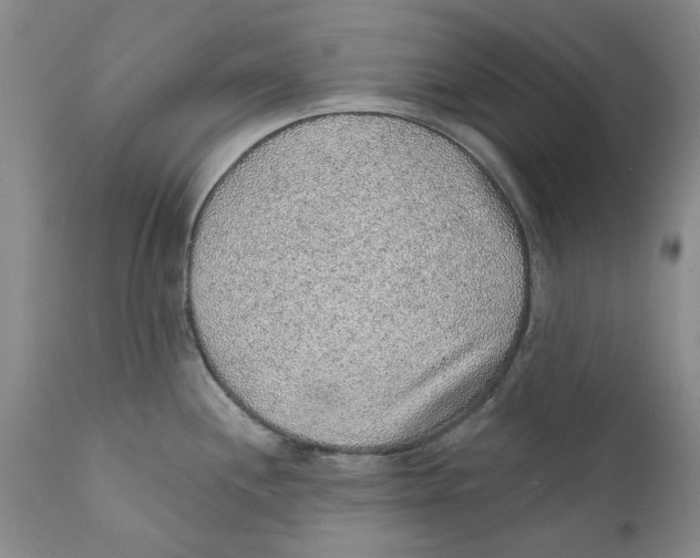 X0000112381244200909101338