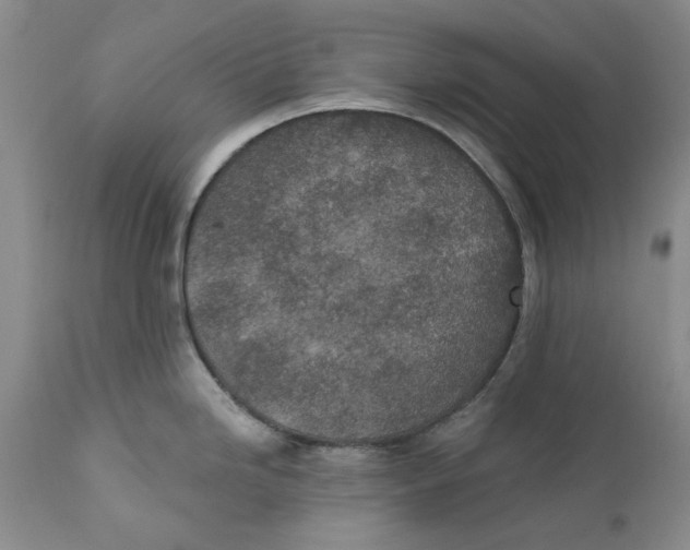 X0000112381246200909101338