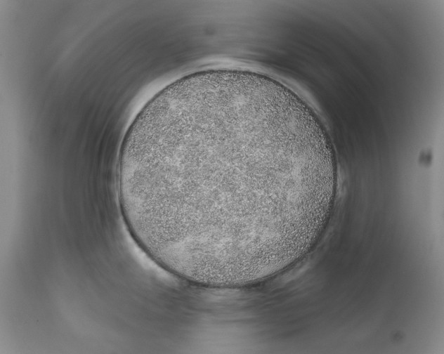 X0000112381247200909101338