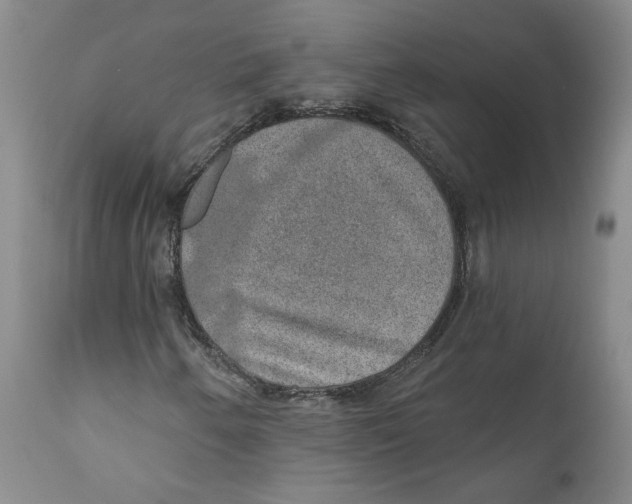 X0000112381250200909101337