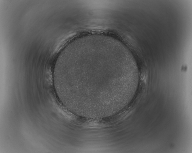 X0000112381252200909101337