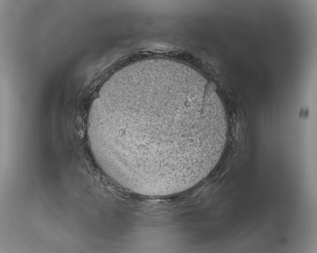 X0000112381253200909101337